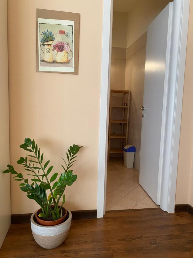 Sogni E Colori Bed & Breakfast Villanova d'Albenga Ngoại thất bức ảnh